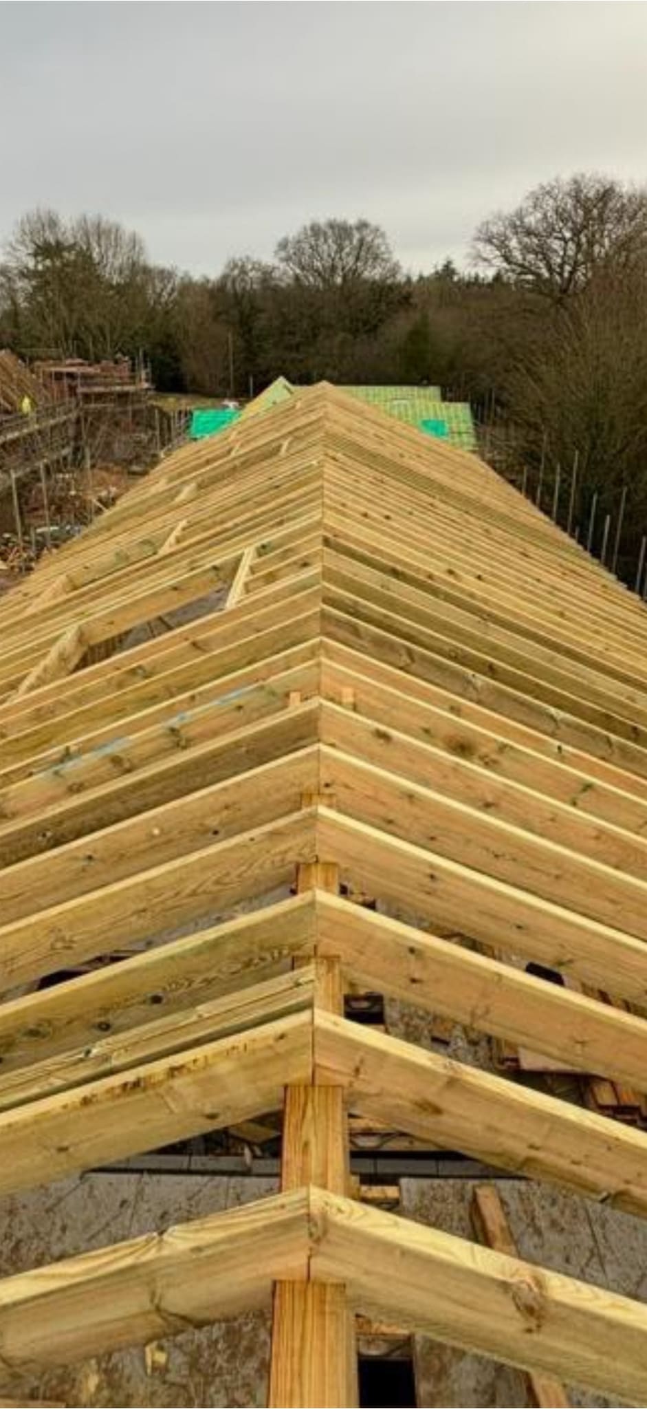 Ridge of a newly cut roof built by Kent Bespoke Carpentry